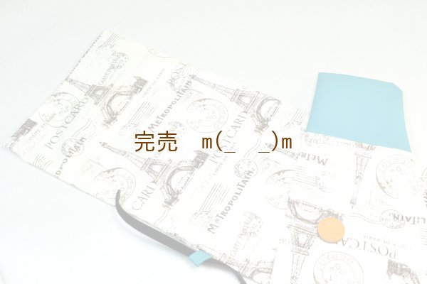 画像1: 弓袋 HOLD　防水　ＰＡＲＩ　袋付