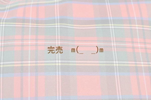 画像4: 弓袋　雨用　赤チェック　袋付