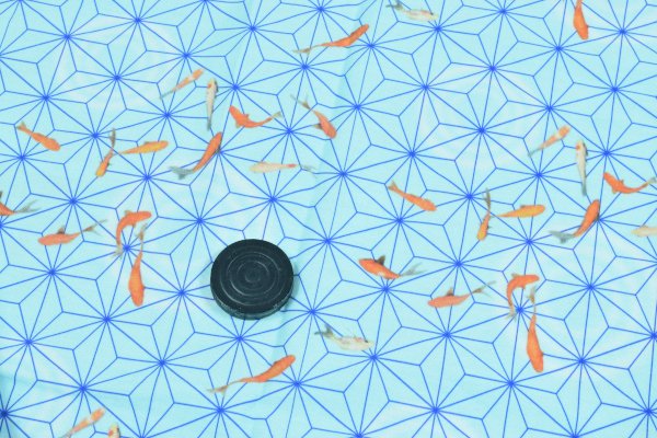 画像5: リバーシブル　トートバック　 麻の葉金魚