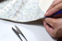 帯まるごと