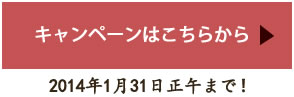 キャンペーンはこちらから