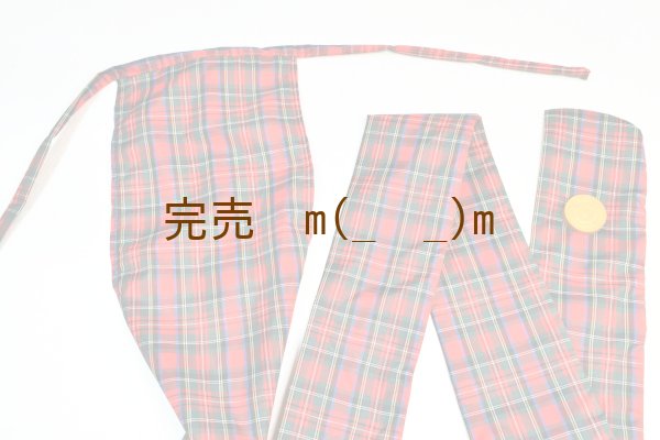 画像1: 弓袋　雨用　赤チェック　袋付 (1)