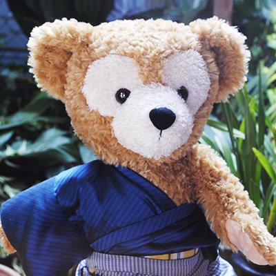 画像1: ダッフィー 着物4点セット（お手持ち布で製作）